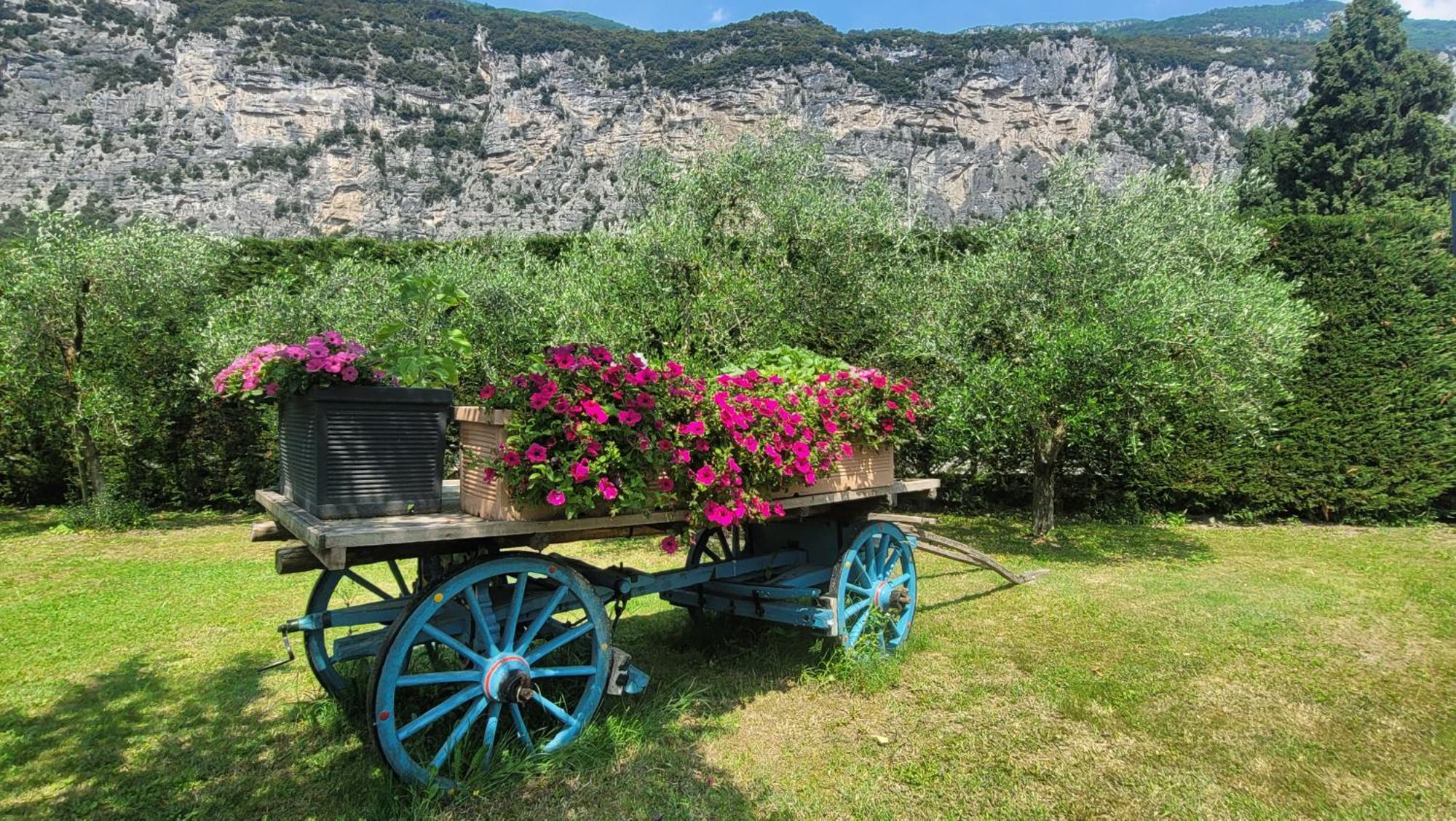 Agriturismo Vin E Amor Дро Экстерьер фото