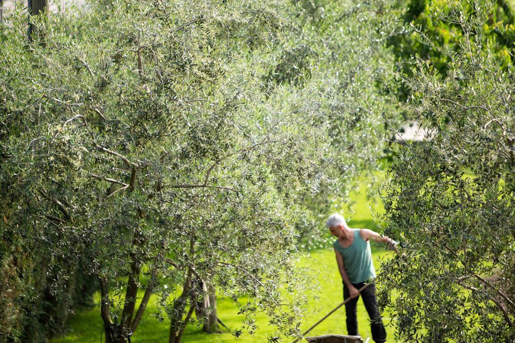 Agriturismo Vin E Amor Дро Экстерьер фото